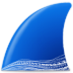 Wireshark()ɫ