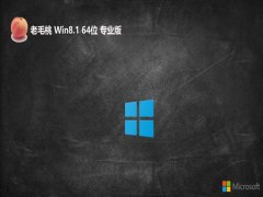 ë64λwin8.1ƶ»v2024.05