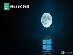 ʿwin8.1ٺ64λv2025.05⼤