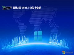 ľ64λwin8.1ȼv2025.05