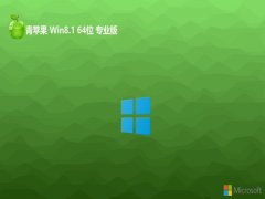 ƻϵͳwin8.1콢64λv2024.05⼤