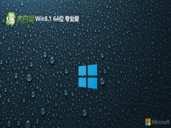 ײ64λwin8.1ǿİv2025.05