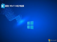 ʿwin11 64λ ⼤ƶv2024.05