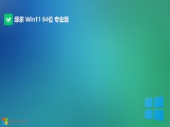 ̲ϵͳv2024.05win11 64λȫ콢