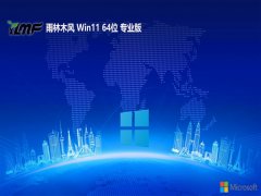 <font color='#0000FF'>ľv2025.05win11 64λרþ</font>