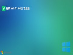 ̲ϵͳwin11ȫ޹64λv2025.05
