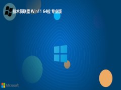 Աwin11Ӣ64λv2025.05