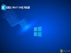 ʿwin11 64λ ⼤߶ڲv2025.05