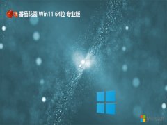 <font color='#333333'>ѻ԰v2025.05win11 64λ</font>