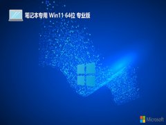 <font color='#0000FF'>ʼǱ⼤win11 64λǿv2025.05</font>